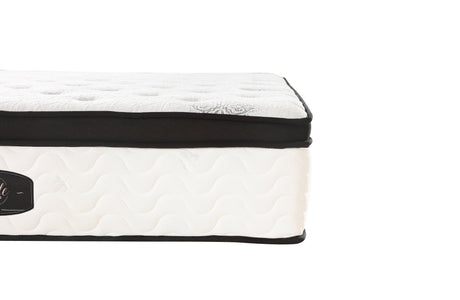 Chiro 7-Zone Latex Euro Top 35cm Pocket Spring Mattress — Allure Home Collections