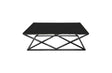 Alsea Modern Coffee Table — Polished Steel Frame with Glass or Marble Top — Allure Home Collections
