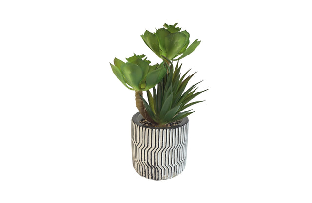 Artificial succulent plant in modern charcoal pot for desk and shelf decor — Allure Home Collections
