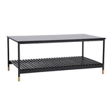 ALCONA Matte Black Coffee Table with Gold Accents