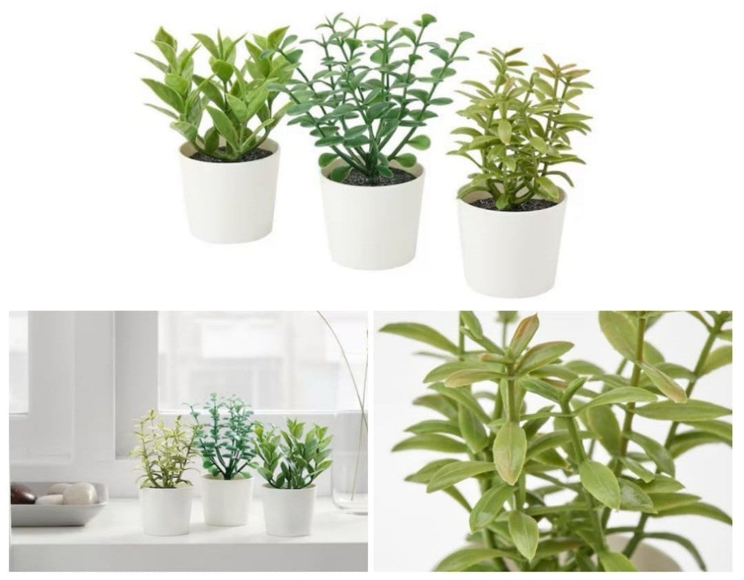 Set of 3 artificial herb potted plants in white plastic 5cm pots for desk and shelf decor — Allure Home Collections