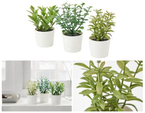 Kintamani artificial herb potted plants in white 5cm pots set of three on a kitchen shelf
