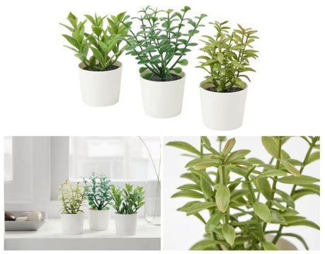 Set of 3 artificial herb potted plants in white plastic 5cm pots for desk and shelf decor — Allure Home Collections