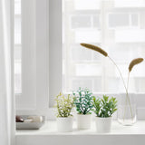 Three artificial herb plants styled on kitchen shelf — Allure Home Collections