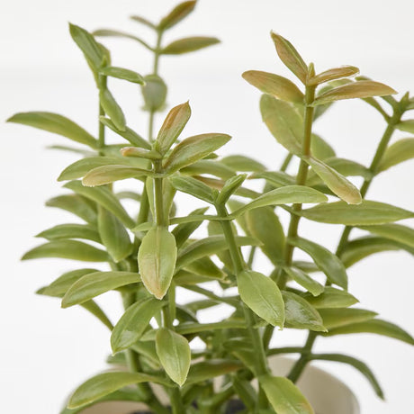 Artificial herb potted plant pot detail showing white plastic finish — Allure Home Collections