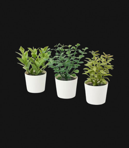 Artificial herb plants arranged as desk accessories — Allure Home Collections