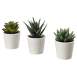 Set of 3 artificial succulent potted plants in white plastic 6cm pots — Allure Home Collections