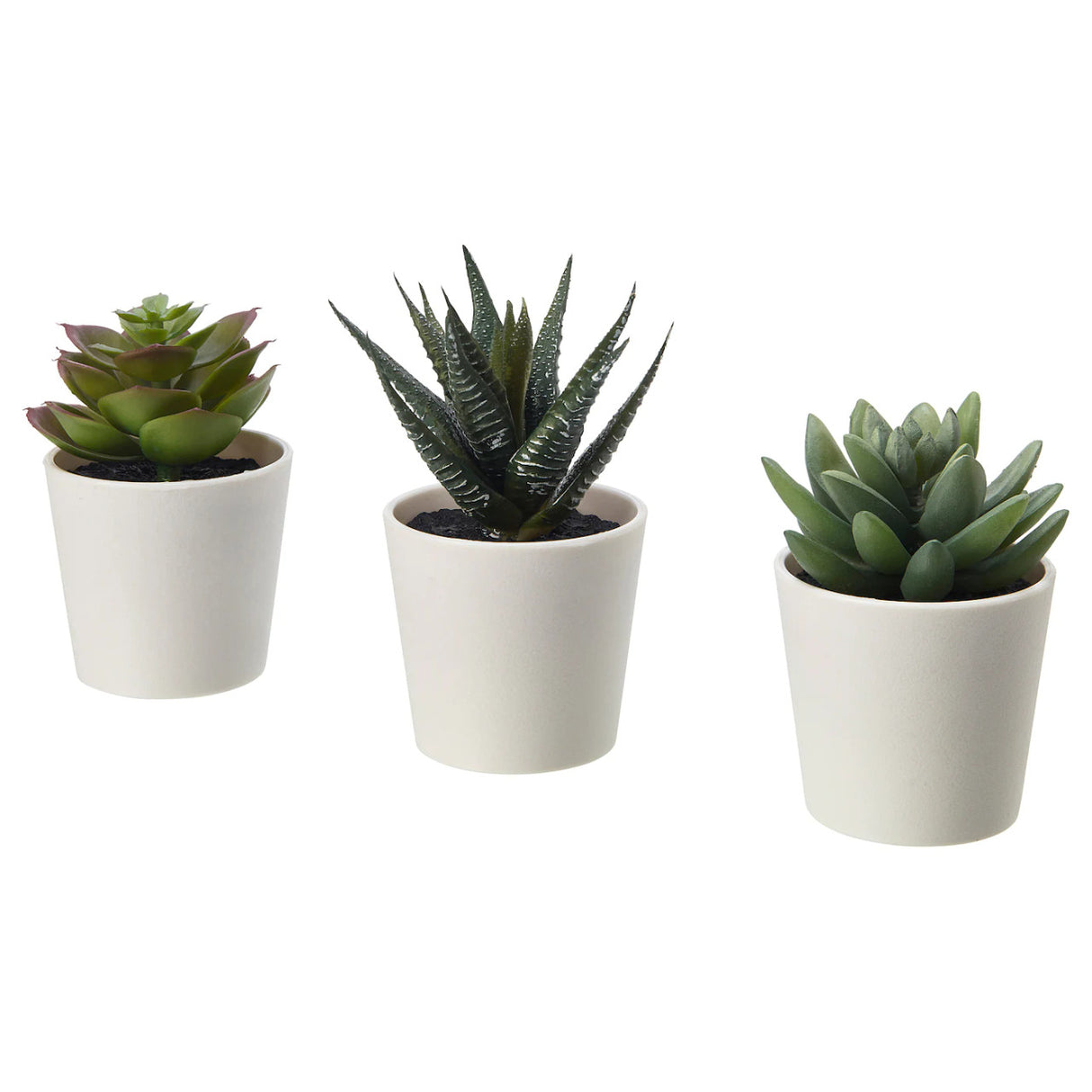 Set of 3 artificial succulent potted plants in white plastic 6cm pots — Allure Home Collections