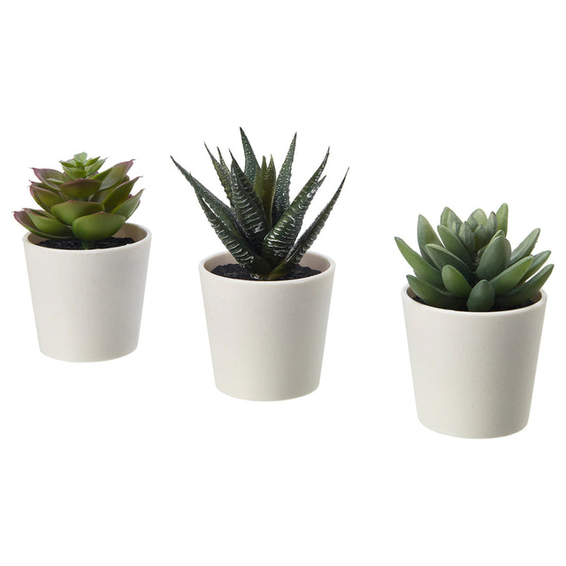 Set of 3 artificial succulent potted plants in white plastic 6cm pots — Allure Home Collections