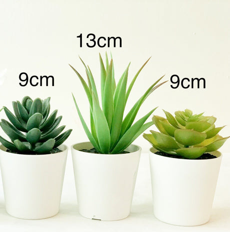 Three artificial succulents styled on desk and windowsill — Allure Home Collections