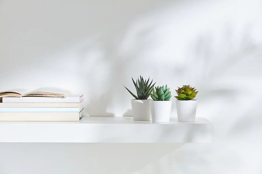 Artificial succulent pot detail showing white plastic finish — Allure Home Collections