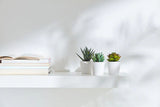 Artificial succulent pot detail showing white plastic finish — Allure Home Collections