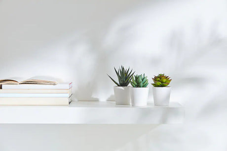 Artificial succulent pot detail showing white plastic finish — Allure Home Collections