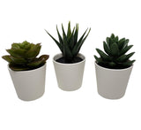 Artificial succulent plant showing variety of shapes in three pack — Allure Home Collections