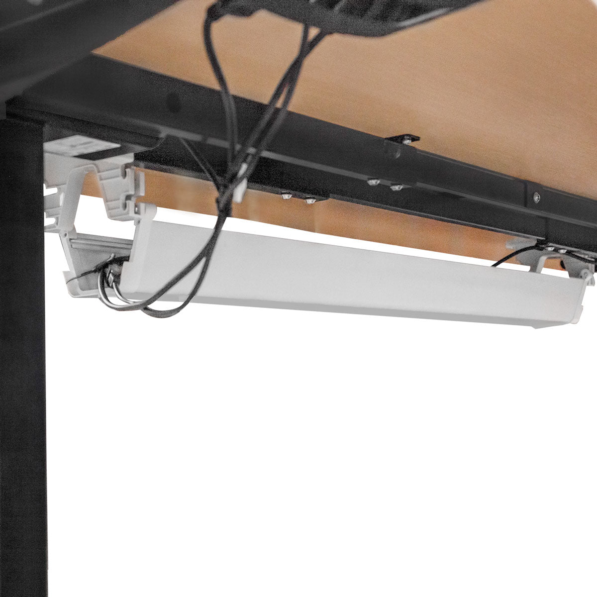 Lifespan Fitness ErgoDesk Automatic Standing Desk