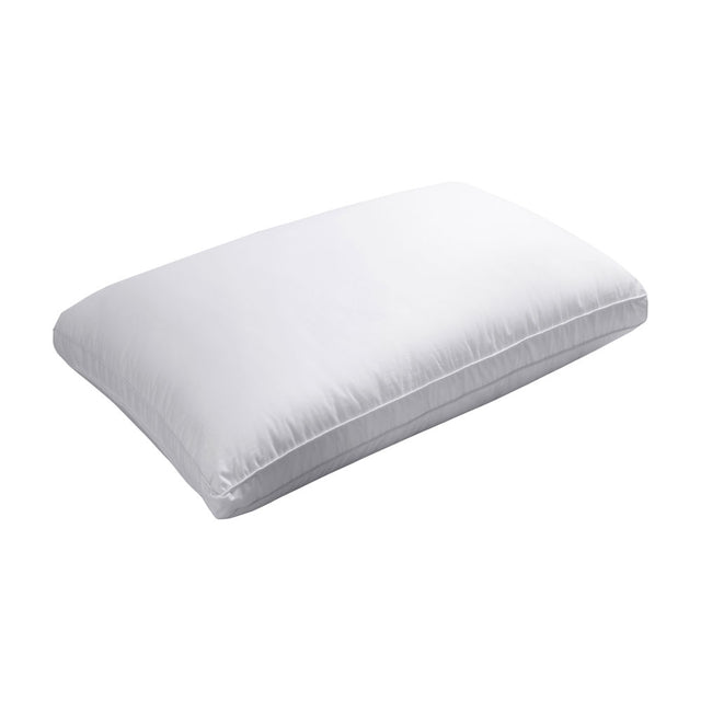 Jason Microloft Cotton Cover King Pillow — 90x50+5cm, Individual Sleeping Needs — Allure Home Collections