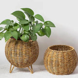 Croyde Woven Storage Container with Lid, Natural