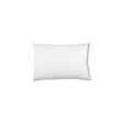 Luxor Twin Pack Hotel Cushion Inserts — 30 x 50cm, Made in Australia — Allure Home Collections