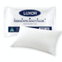 Luxor Australian Made Hotel Quality Standard Pillow — Single — Allure Home Collections