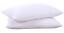 Puredown Goose Down and Feather King Pillow Inserts — Set of 2, 100% Cotton Cover — Allure Home Collections