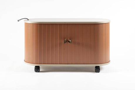 FITIN Rollin Mobile Roller Shutter Storage Cabinet — Adjustable Shelves and Wheels — Allure Home Collections