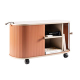 FITIN Rollin Mobile Roller Shutter Storage Cabinet — Adjustable Shelves and Wheels — Allure Home Collections