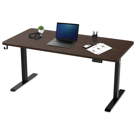Oxley Electric Standing Desk, Walnut 160cm
