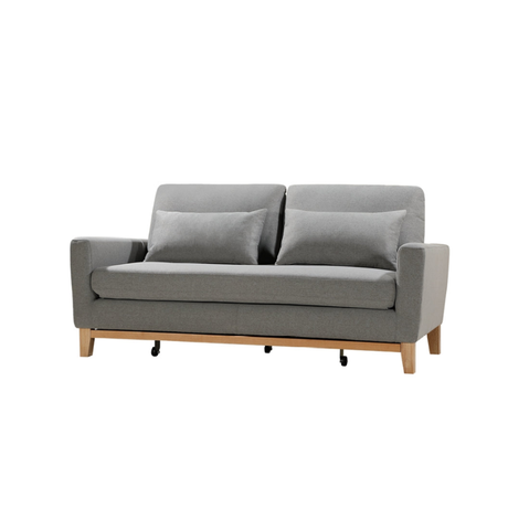 SHASA Grey Celadon 2-Seater Pull-Out Sofa Bed — Allure Home Collections