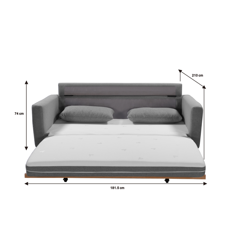 SHASA Grey Celadon 2-Seater Pull-Out Sofa Bed — Allure Home Collections