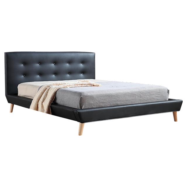 Double PU Leather Deluxe Bed Frame Black