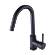 Solid brass gooseneck kitchen mixer tap in black
