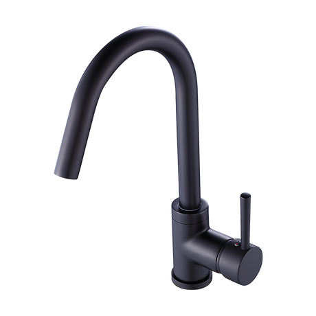Solid brass gooseneck kitchen mixer tap in black