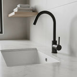 Solid brass gooseneck kitchen mixer tap in black