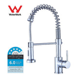 Compact solid brass pull out kitchen mixer tap in chrome