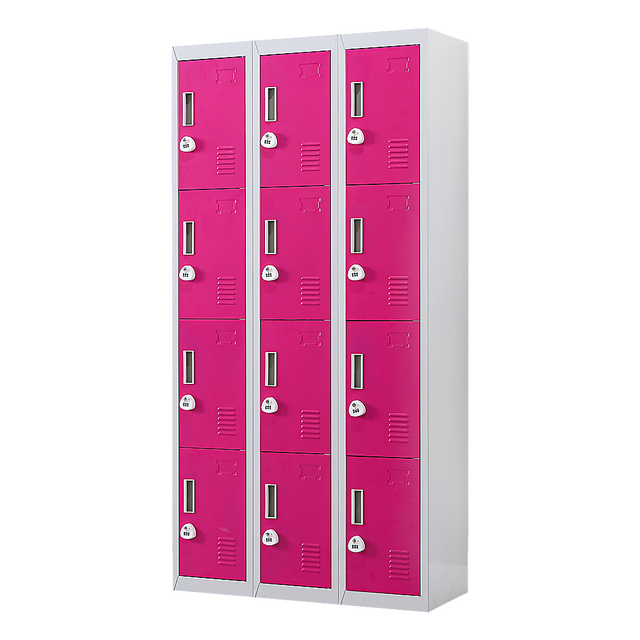 12-Door Steel Storage Locker with 3-Digit Combination Lock, Grey with Pink