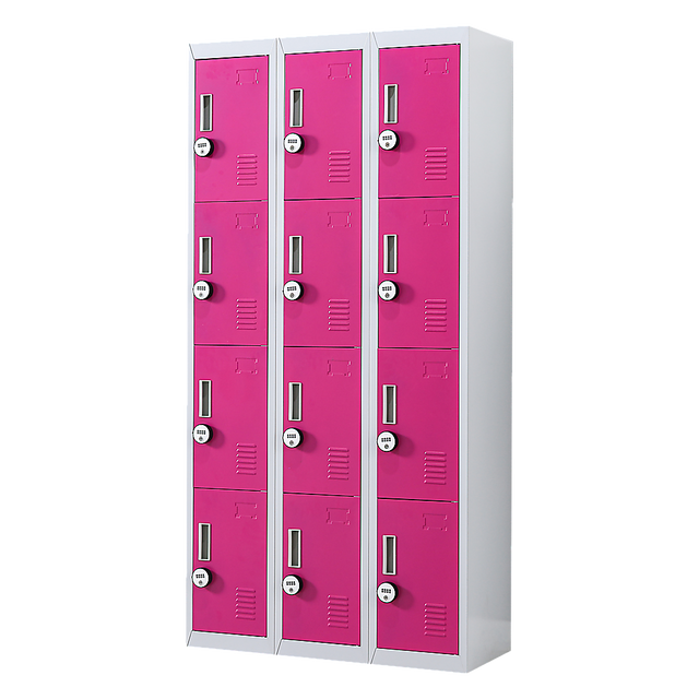 12-Door Steel Storage Locker with 4-Digit Combination Lock, Grey with Pink