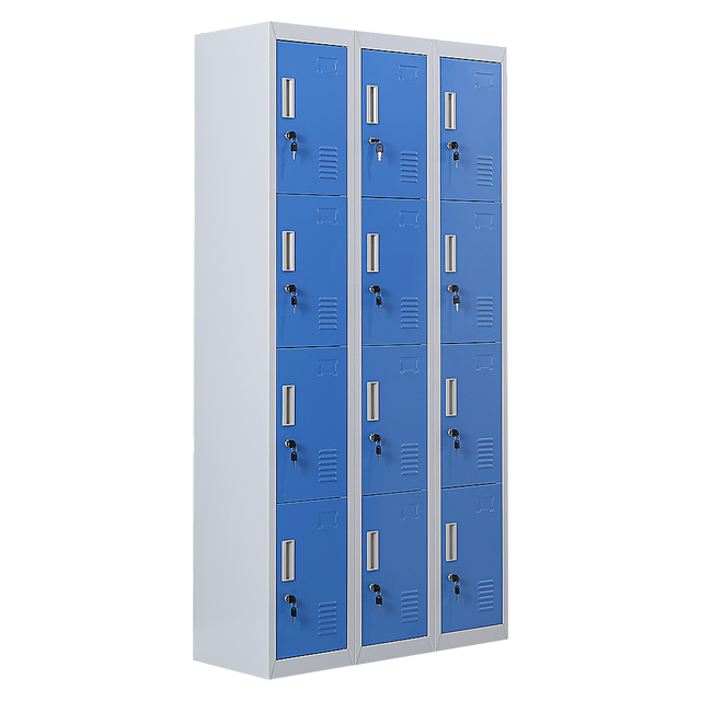 12-Door Steel Storage Locker, Grey with Blue Doors, key lock - image 1