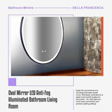 Oval Mirror LED Anti-Fog Illuminated Bathroom Living Room