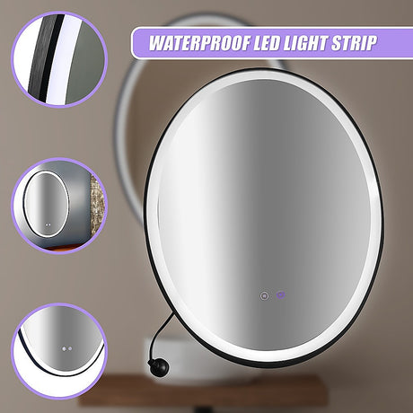 Oval Mirror LED Anti-Fog Illuminated Bathroom Living Room