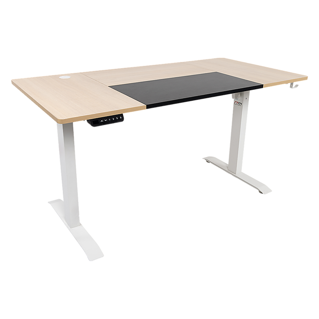 Electric Motorised Height Adjustable Sit-Stand Desk Dual Motor — Allure Home Collections