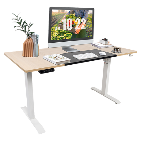 Electric Motorised Height Adjustable Sit-Stand Desk Dual Motor — Allure Home Collections