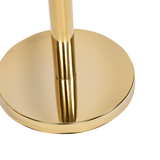 Gold crowd control queue barrier set with velvet ropes, view 8