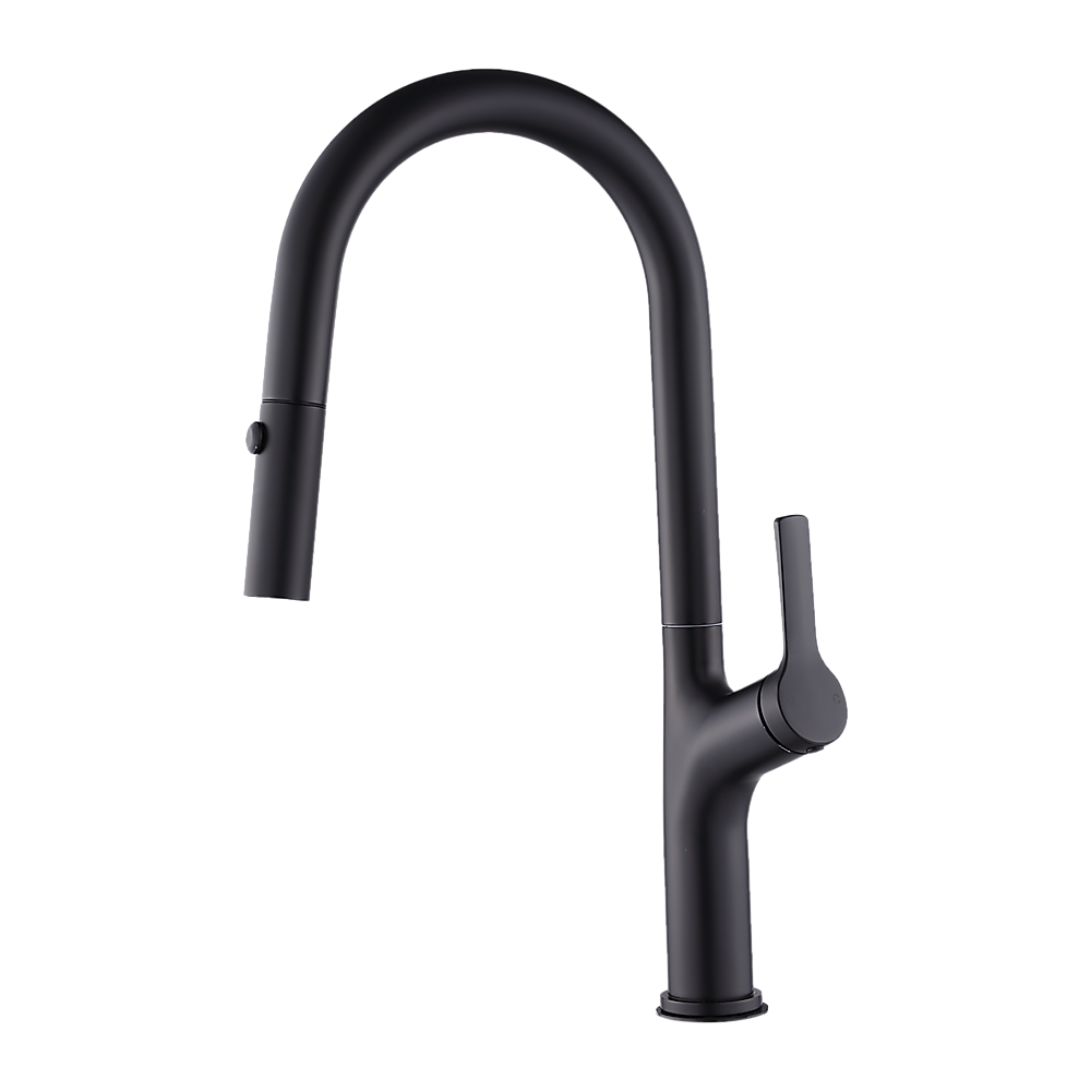 Pull out kitchen mixer tap in stainless steel with matte black finish