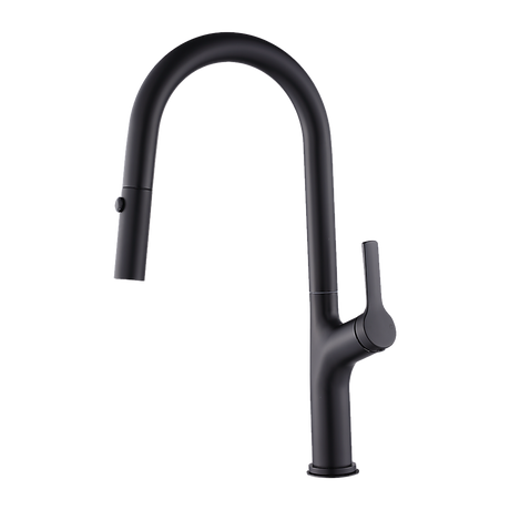 Pull out kitchen mixer tap in stainless steel with matte black finish