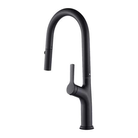 Pull out kitchen mixer tap in stainless steel with matte black finish