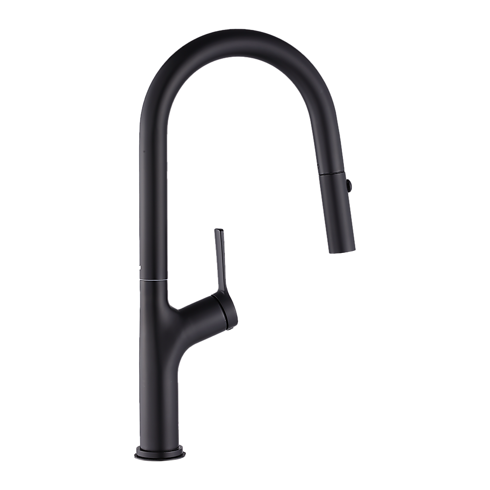 Pull out kitchen mixer tap in stainless steel with matte black finish