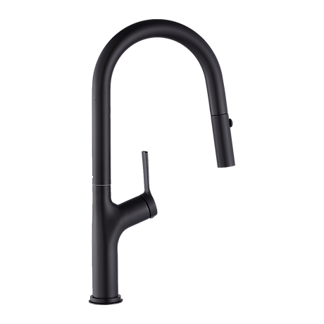 Pull out kitchen mixer tap in stainless steel with matte black finish