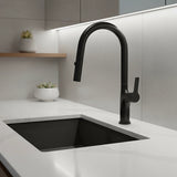 Pull out kitchen mixer tap in stainless steel with matte black finish