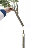 Artificial olive tree showing scale in home setting — Allure Home Collections