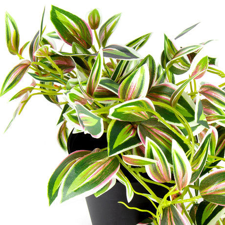 Potted Hanging Artificial Verigated Weeper 72cm